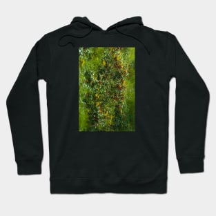 Luscious Morning Dew On Green Grass Hoodie